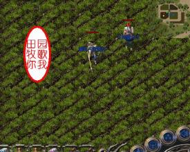 ����ͨ�����¿�