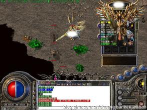 ������̬������վ